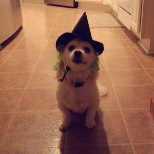 Meet your Posher, Jon